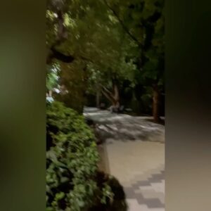 Aleksandr Buynov Instagram - Привет, друзья! Кто-то на днях в комментариях написал, что я улетел на Мальдивы. Рассмешили. Я в родном и любимом Сочи. Лучше места и быть не может. Каждый год я приезжаю сюда и испытываю невероятный кайф: море, воздух, уличные музыканты, да и сама атмосфера непередаваема. Посетил концерт российского комика и юмориста, резидента Stand Up шоу – Ивана Абрамова. Ваня один из моих любимых артистов Comedy. И , конечно , вечерний Сочи шикарен. Всем советую, приезжайте, впереди бархатный сезон, а эта особая атмосфера отдыха. До встречи! #буйнов #отдых #сочи #лето #александрбуйнов #немальдивы #россия