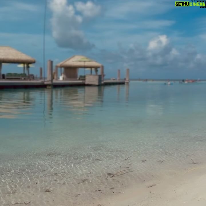 Alex-Anne Aubé-Kubel - 3.6K Likes - 🐚🏝️👙 @mennillodesigns
#beach #swimwear #bahamas #travelphotography #royalcaribbean #travelgram #bikiniseason #beachlife #beachday #utopiaoftheseas