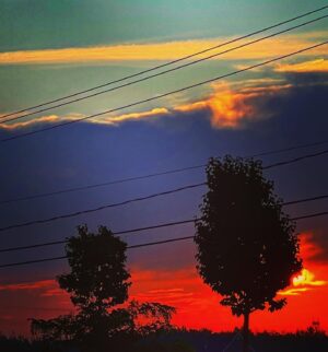 Alex Perron Instagram - Petit matin.