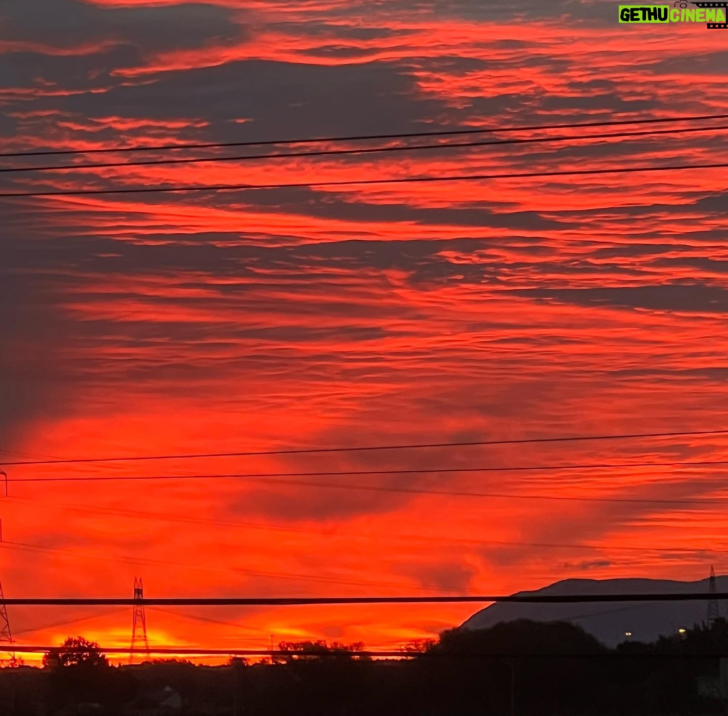 Alex Perron - 0.9K Likes - Soleil de ce matin. Même pas de filtre ! Nature de même ! #burnbabyburn #soleil #feu