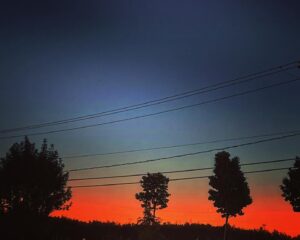 Alex Perron Instagram - Ombres chinoises d’arbres. #petitmatin