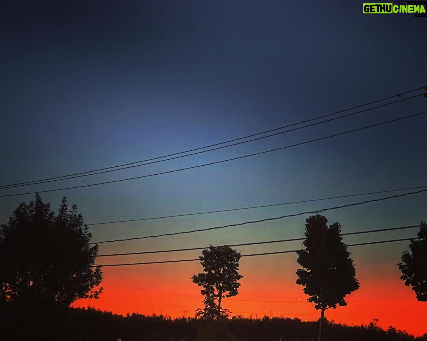 Alex Perron - 487 Likes - Ombres chinoises d’arbres. #petitmatin