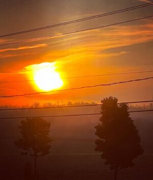 Alex Perron Instagram - Soleil sur fond de brume du matin. #mêmepasdefiltre