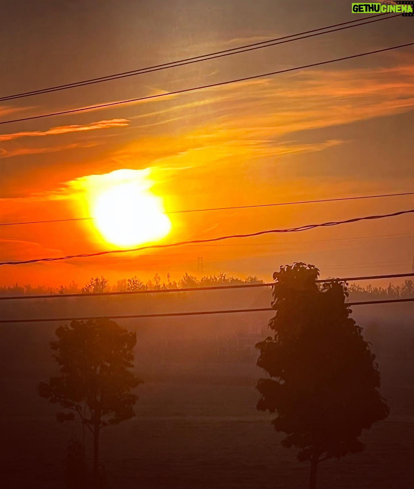 Alex Perron - 613 Likes - Soleil sur fond de brume du matin. #mêmepasdefiltre