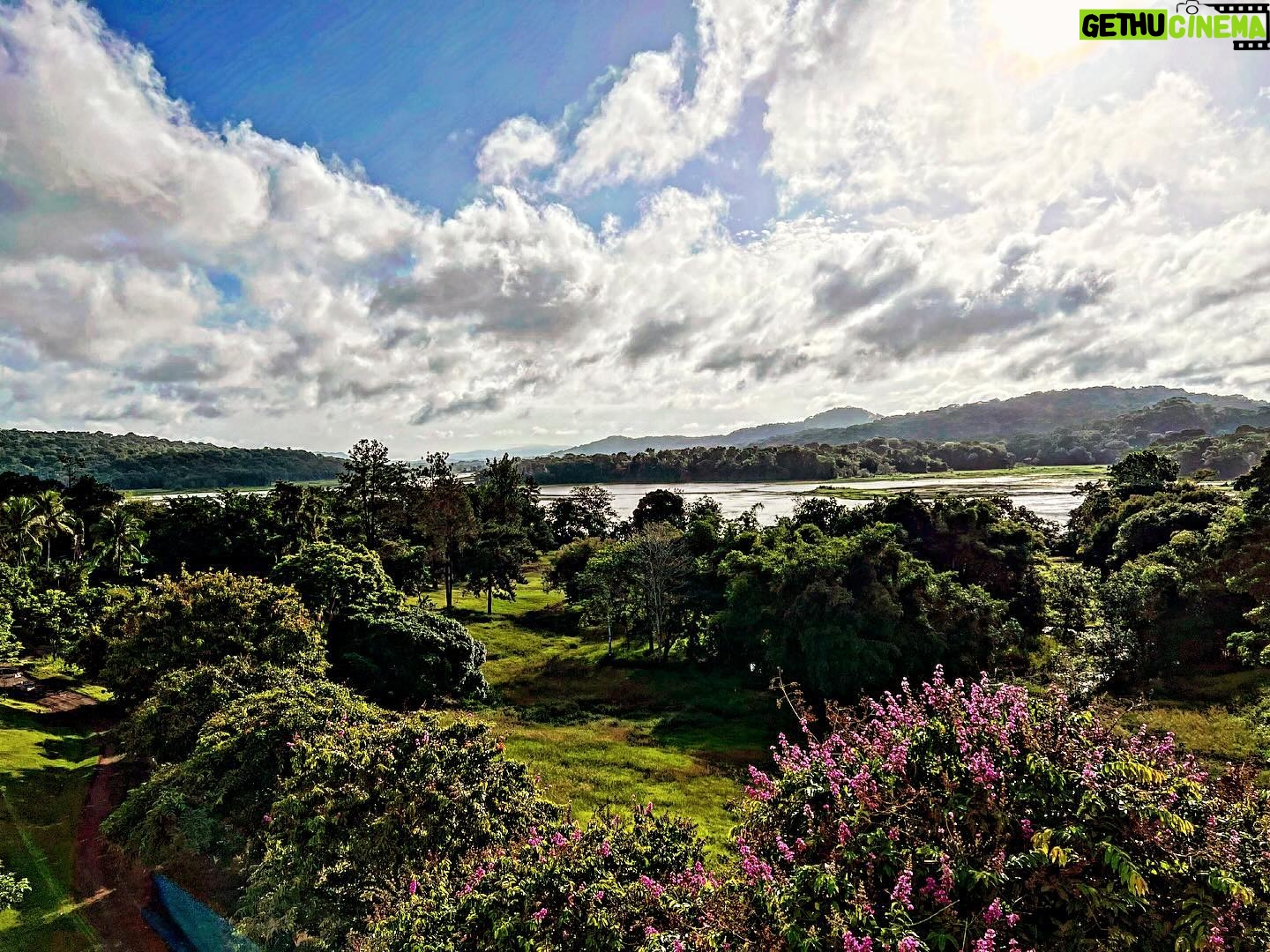 Alex Perron - 455 Likes - La vue de ma chambre 24 heures avant mon entrée dans la jungle du Panama. #juillet2023 @smditva @tvareseau