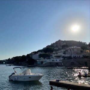 Alexandra Maria Lara Instagram - 🐠🦎🍦#holiday #relaxation #buchtipp (excellent!)…and now back to work 🤍🏔️🤍