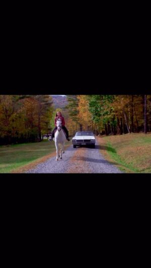 Alexis Arnold Instagram - Who else is ready to head back to Vermont!
.
.
.
#ificouldride #ificouldride2 #featurefilm #film #filmproduction #filmactor #movieproduction #movieproducer #vermont #claremontnh #vermontfilm #newhampshire #pastorinibosbytalent #pastorinibosby #exclusiveartistagency