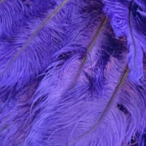 Alexis Mateo Instagram - I live a show girl live! or “i personally plucked eleven pigeons to make this gown” 🐦‍⬛ @alexxannder_99 @marxxproductions 👗 by @jennynicolecontreras @canadasdragrace #canadavstheworld #showgirl #purple #bam
