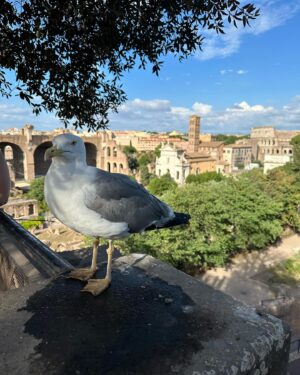 Alicja Bachleda-Curuś Instagram - Roma recap #lovethiscity