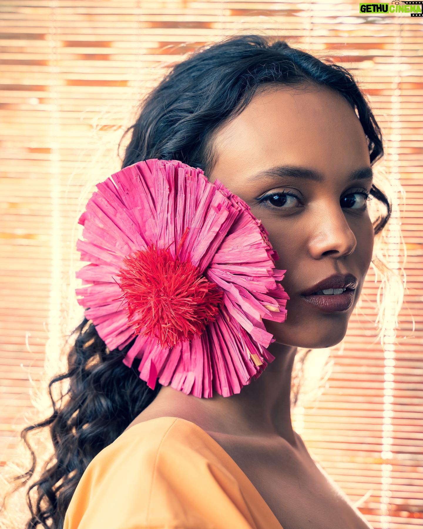 Alisha Boe - 263.2K Likes - @storyandrain ‼️