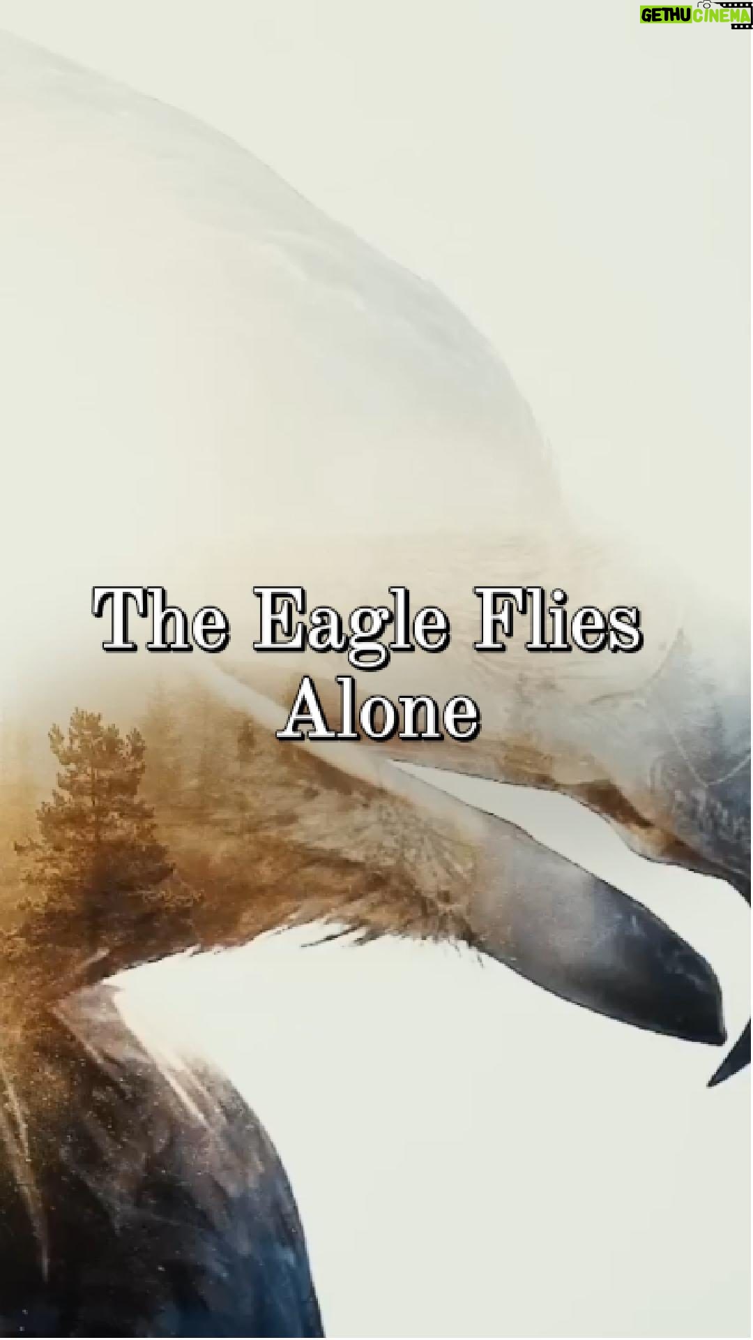 Alissa White-Gluz - 13.7K Likes - 🦅 The official video for "The Eagle Flies Alone" was released on this day 7 years ago and has reached over 100 million views on #YouTube - thank you so much! Why not give it a spin today? 