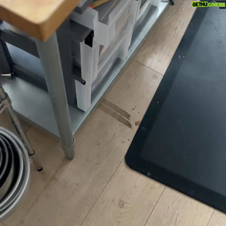 Alvin Zhou - 15.6K Likes - made the feast from spirited away, a personal favorite of mine
happy thanksgiving everybody 🦃
🎥 @bingingwithbabish
@kendall.h.beach
@steveclark217
@rachelanndolfi
@nico.borbolla
@courtvision
@bradacash
@emilijasaxe
@esze.e with the save on the Taiwanese sausages