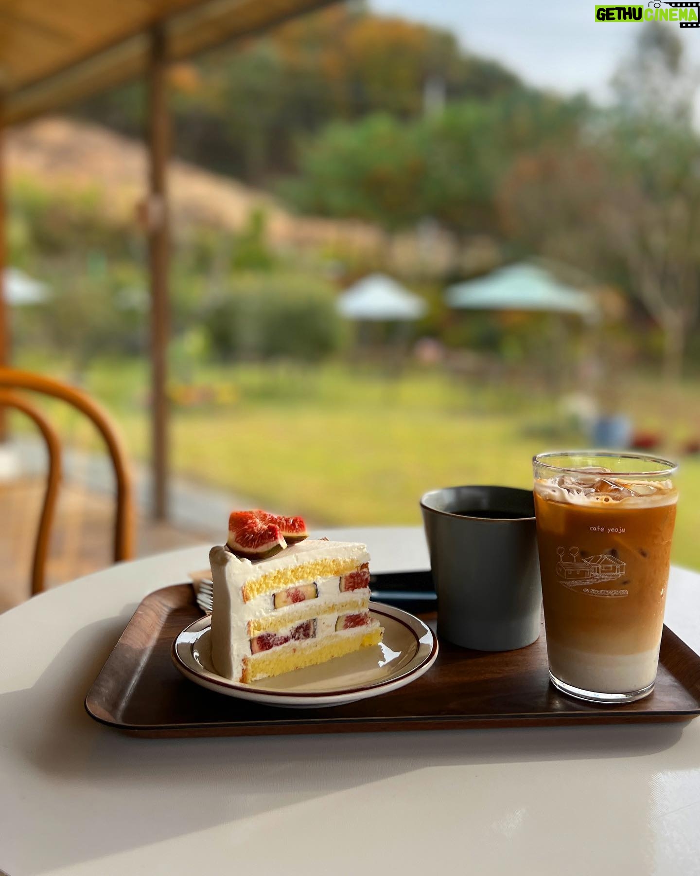 Alvin Zhou - 16.7K Likes - Cafes in Korea are pure magic.
