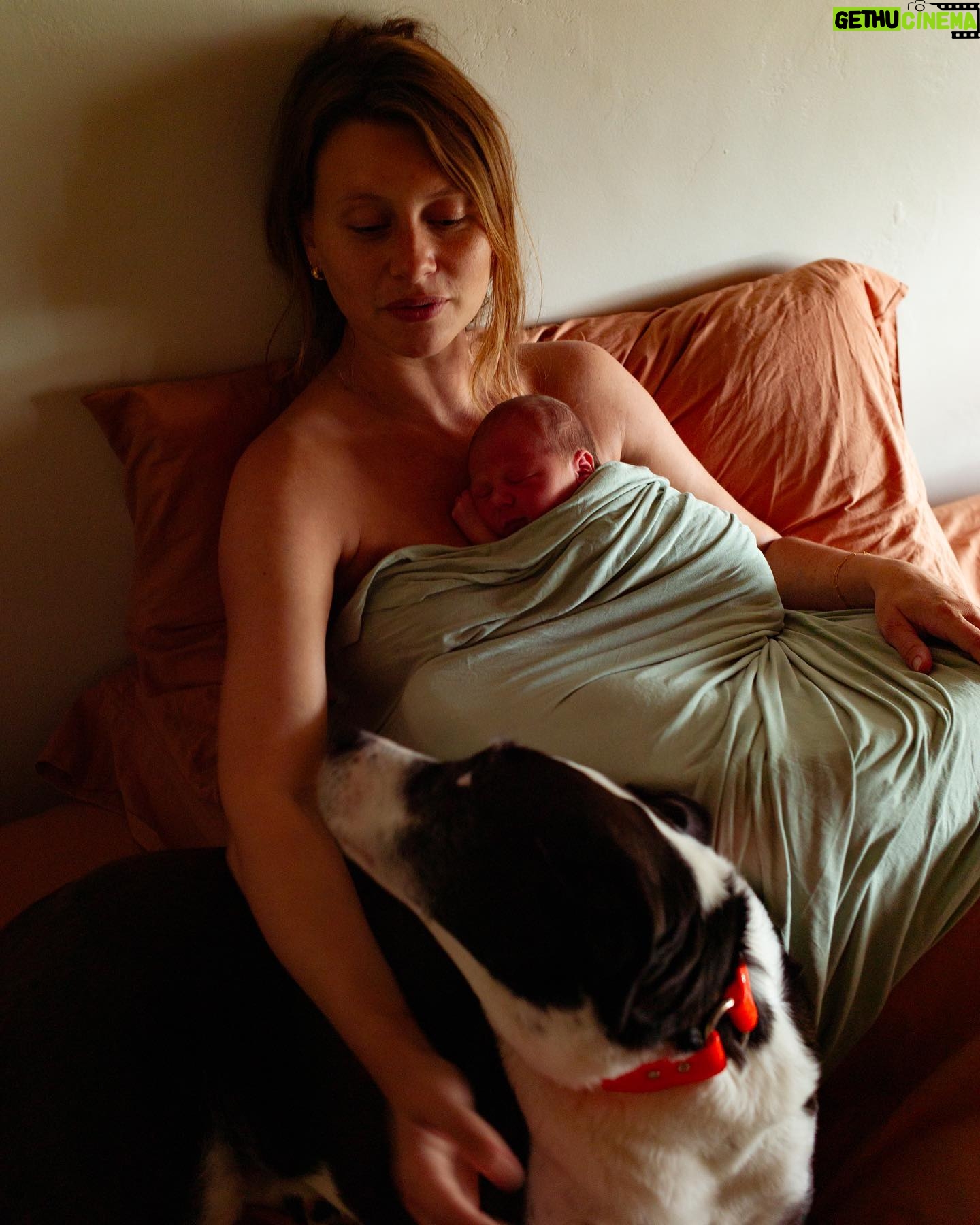Aly Michalka - 70.2K Likes - Jack Francis Michalka-Ringer was born at 6:40 am on April 21st at 6 lbs 10 ounces.
It’s the honor of my life you chose me as your Mama
We brought you into the world in our living room as morning birds sang for your arrival outside our window. I caught you in my hands surrounded by the best team thanks to our midwife @innatemidwiferysb our doulas @ivyjoeva and @bamboomary and our loyal guardian @bixbyofthehouseofblackandwhite, standing watch. Most importantly your dada, my husband and champion @auhasardspr was with me every step of the way, and gave me the reassurance I was meant to be a Mother💓
We could not have had this experience without @birthingblyss @doctorberlin @ombabydoula and @clearmindhypnotherapy, all helping us find the birth Jack had already chosen. Women all over the world have for thousands of years been giving life in their own unique ways and I was able to call on my ancestors who for generations have demonstrated courage that brought me to this moment.
Thank you Mama, thank you Grandma Betty & Grandma Carmen. Thank you for your stories and for giving me life so that I could experience this kind of love 💕 And thank you to my family for supporting me these past months first and foremost Auntie @iamaj who Jack already loves so much.
We’ve been enjoying every minute with our baby boy these past weeks and we can’t help but marvel at this miracle we were given.
Named for his great grandfather, my grandfather, a kind man whose spirit and gentle disposition lives on through him.
Francis, for Stephen’s family, for two of his filmmaking heroes Francis and Francois, for his godmother, may he inherit the kindness towards animals his name implies.
My lil Dandelion, may the early mornings by the ocean as the animals awaken always bring you the comfort you’ve brought to us. Thank you for working so hard to make our birth experience together so beautiful. You are so strong, curious, and soulful. I love how you have such a special relationship with the sunshine. I love everything about you. Jack, you are already our favorite face 🌼