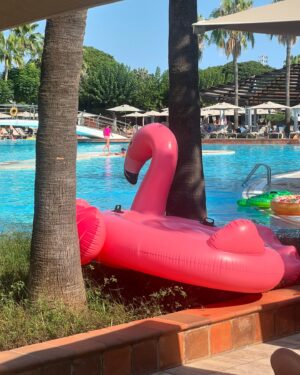 Amanda Lamb Instagram - Bloody hell I wish we could have summer holidays forever… first day included manky rescue cats, me trying to steal an 8ft inflatable flamingo and getting busted by a very angry Russian…. All in all it’s an amazing start… girls are happy… I am happy…