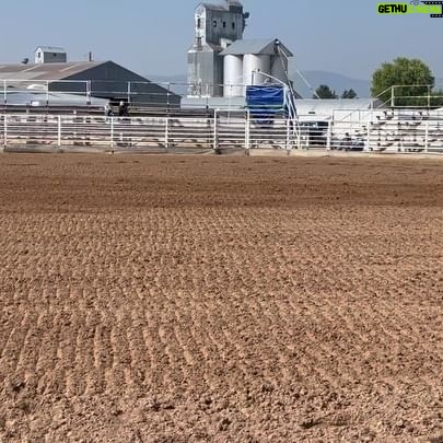 Amberley Snyder - 9.1K Likes - 🌟 Logan & Jerome on Legacy 🤎
👏🏻 Grace with Tink 🖤
These boys are sure trying!! 🙏🏻
💠 CINCH 👖 @cinchjeans
💠 BEMER 〽️ @bemerhorseset
💠 PURINA ❤️🔥 @purinaperformancehorse
💠 SILVER LINING HERBS 🌿 @silverliningherbs - Code Amberleysnyder
💠 CLASSIC EQUINE 🐴 @_classicequine
💠 HART TRAILER ❤️ @officialharttrailer
💠 SIGNATURE QUARTERS 🏠 @signaturequarters
💠 FARNAM💙 @farnamhorse
💠 REDMOND EQUINE ✨ @redmondequine 🧂 Code- Amberleys20
💠 MONTANA SILVERSMITHS 👼 @montana.silversmiths “Amberley’s Cowboy Angel”
💠 AMERICAN HAT CO 🇺🇸 @americanhatco
💠 SUMMIT MAX 🦄 @summitanimalhealth Code-Amberley15
💠 EQUSTREAMS BANDS 🌟 @equstreamz
💠 SOUTH VALLEY EQUINE South Valley Equine
#amberleysnyder #walkriderodeo #frenchopen #tinktink #bwfamecametwo