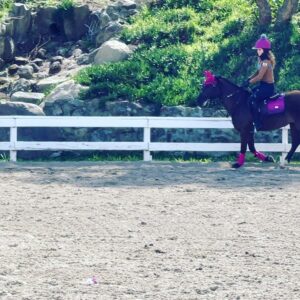 Amelia Heinle Instagram - Happy Valentines Day from Pixie! @ge_equine #welshponiesofinstagram
