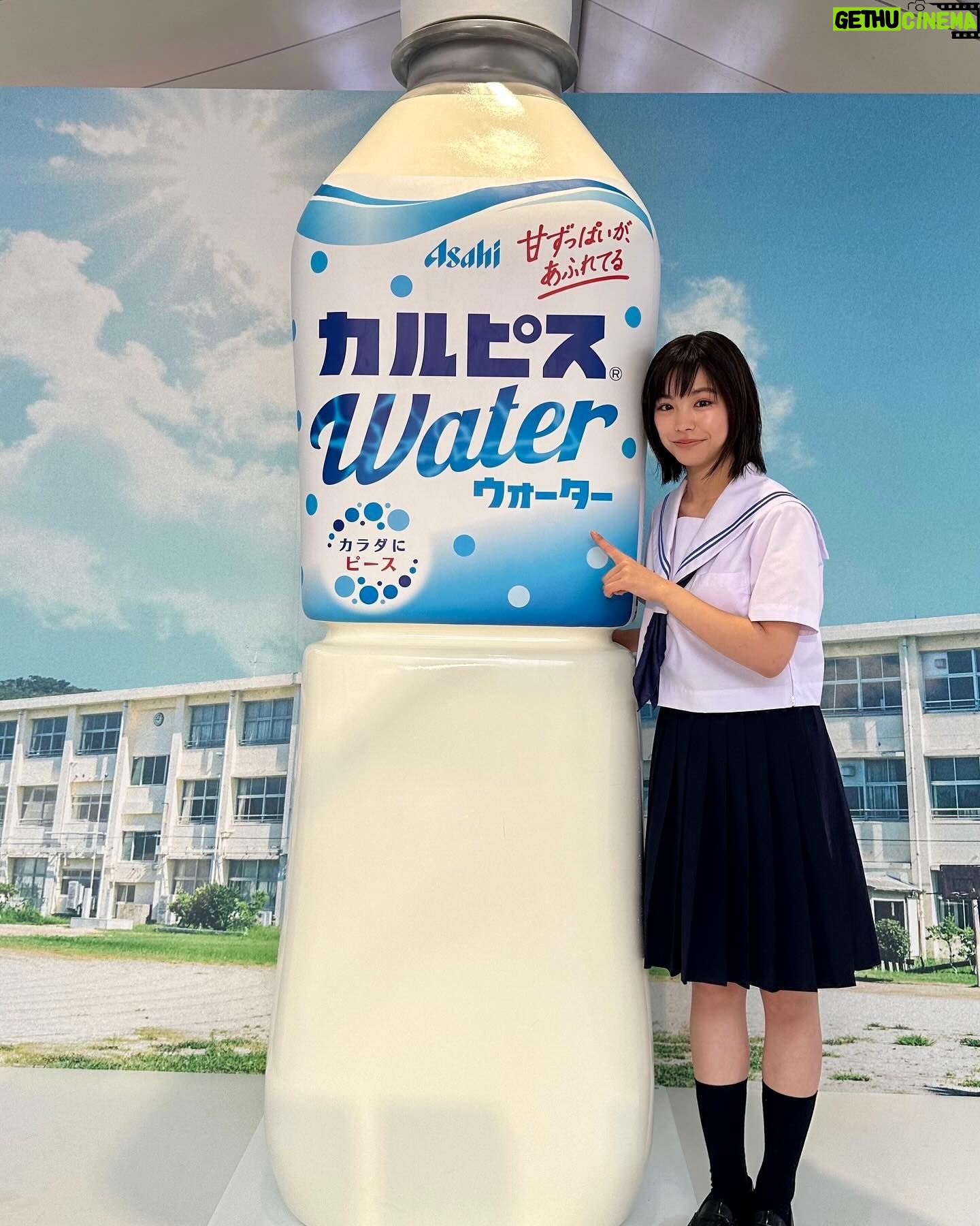 Ami Touma - 28.4K Likes - カルピスウォーター、“スキ瞬”部活展に行ってきました!
雨の中でしたが中学の部活の事を振り返りながら楽しくお話してきました。
渋谷109にカルピスの巨大モニュメントと、『自分が部活の中で1番好きな瞬間』が書かれたスキ瞬自販機があります!
自分が共感できるスキ瞬のボタンを選んで押すとカルピスウォーターが出てきます!
皆さんぜひ足を運んでいただけると嬉しいです!
#スキ瞬
#カルピスウォーター