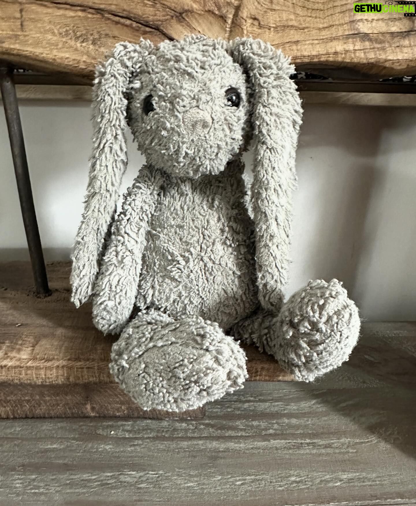 Amy Huberman - 10.6K Likes - Dear internet peoples/Angela Lansbury-Jessica Fletcher legend heads 🙌❤️ The missing fugitive bunny has been located and returned and is now under house arrest for the foreseeable eternity. I’m going to strap an electronic ankle parole monitor on his daft adorable fluffy worn to fooook ankle. Thank you for your help!
This guy has had more returns than Home and Away has had Pippas. He’s been lost more than 7,456 times (Central Statistics Office). Flung out of buggies, wedged behind walls, excavated from under layers of sedimentary rock, stranded on Jupiter.
Lost him once for a day and found him in a jar of noodles. He also had a two day layover in Dublin airport solo (and didn’t even give himself a glow up in Duty Free. I mean this guy is a fool)
Always loved the idea of how cute it was; the attachment to these teddies, but it’s a constant horror movie moment when you realize they’re missing and then the 😱 😱😱😱😱😱😭😭starts.
And so now I’ve told Brian he has to keep his bunny at home and take one of the other ones with him when he goes out.