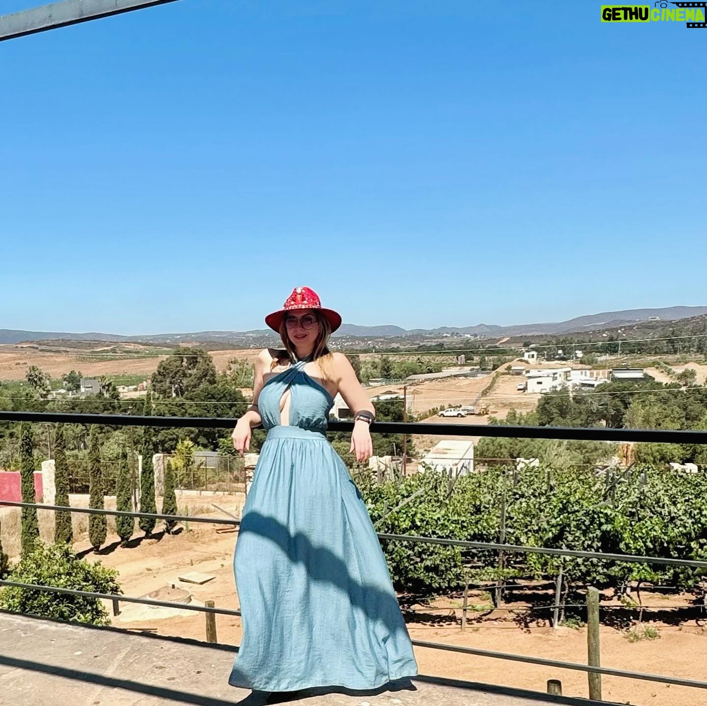 Anaís - 11.8K Likes - Valle de Guadalupe ❤️ #anais #love #blessed #losangeles #mexico #chinolita #happiness