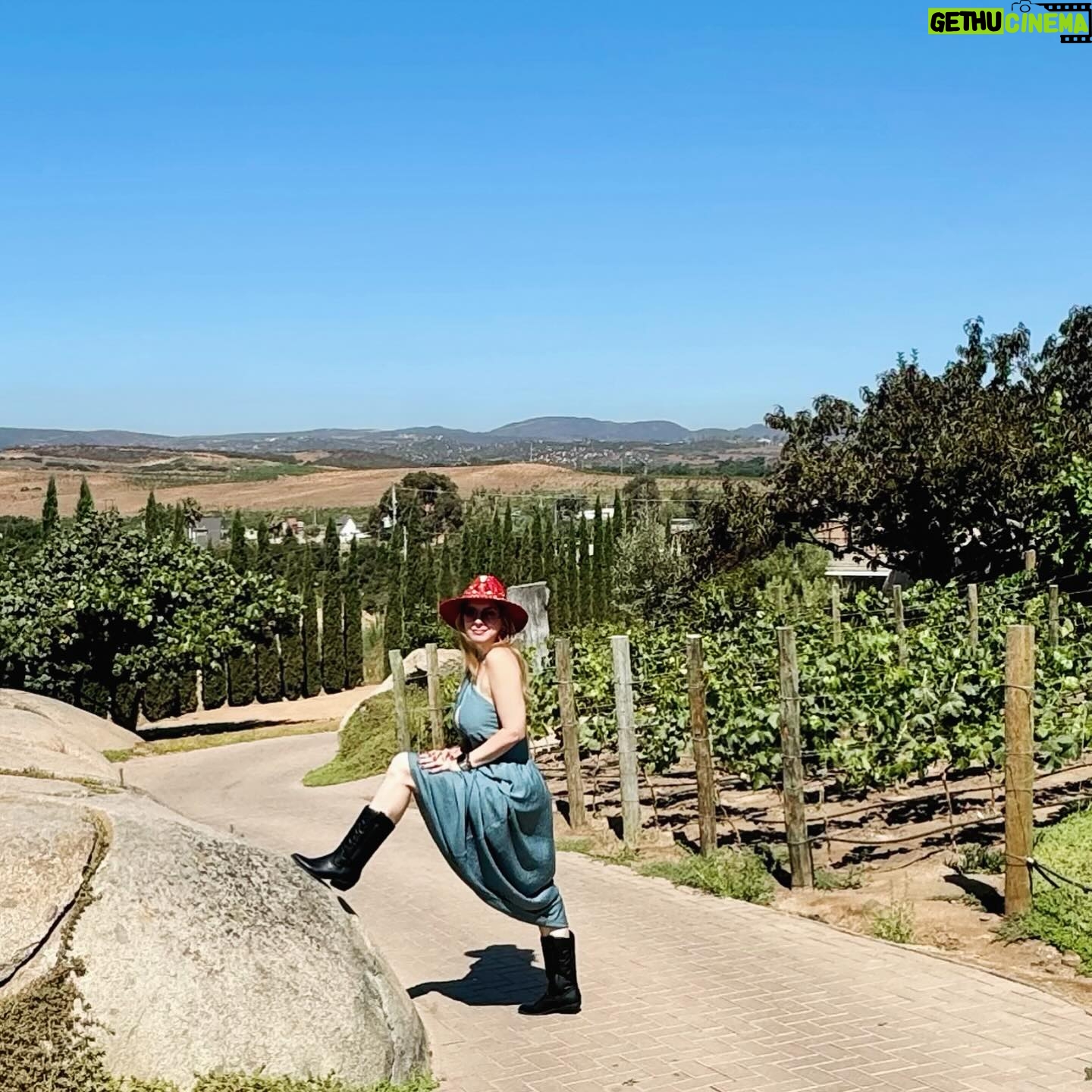 Anaís - 11.8K Likes - Valle de Guadalupe ❤️ #anais #love #blessed #losangeles #mexico #chinolita #happiness