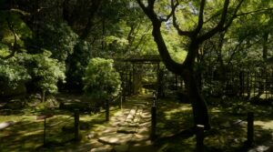 André Pilli Instagram - O Japão foi o lugar que me fez querer voltar a ser quem eu era, mas sem deixar de ser quem eu me tornei. 

Essa viagem foi a realização de um sonho. Nesses projetos, não há orçamento ou cliente. Somos duas pessoas viajando com uma câmera na mão... mas com uma história para contar. E isso é mais do que o suficiente, sempre vai ser. Quero agradecer a @anna.mendesc , que foi pessoa que me deu a oportunidade de enxergar histórias por trás de conteúdos. Obrigado pelas suas cores que carregam meus sentimentos.

Ao meu fiel amigo, que está por trás do design e da estética de tudo que eu faço @gabrielseeds , um dia quero retribuir tudo que fez por mim. 

Ao que me permite chegar em mais e mais pessoas através de suas estratégias geniais, obrigado por me ensinar todos os dias @camilocoutinho . 

E ao @lopes.altamiro por sua tenacidade e versatilidade, por legendar o conteúdo e fazer com que nosso trabalho chegue a outros países. 

Pillitrip Japão está no ar, o primeiro capítulo de um novo livro. 

Espero que gostem ❤️