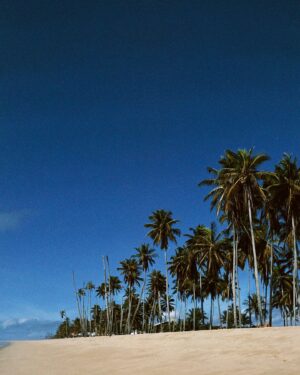 Andressa Alves Instagram - Viajar é como guardar memórias na alma. Com a @cvcviagens , esses dias em Prado, na Bahia, foram simplesmente perfeitos! Explorar as praias de Prado, como a belíssima Praia do Farol e o deslumbrante Mirante das Falésias, foi uma experiência única. Além disso, o encanto da Praia de Cumuruxatiba e a arte local da Aldeia Kai tornaram a viagem ainda mais especial. A CVC cuidou de todos os detalhes, proporcionando uma viagem confortável e sem preocupações. Sou grata por essa experiência maravilhosa e já estou ansiosa pela próxima... Para onde será que vamos com a CVC? #vaidecvc
