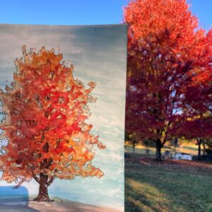Andrew Peterson Instagram - Sunday painting at the Warren. I planted this maple about ten years ago and it’s blazing like never before.