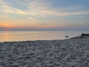 Andrius Tapinas Instagram - Baltuoja Lokis vienišasis