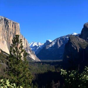 Andy Puddicombe Instagram - One of my favourite places in the world - so good to be back in #Yosemite last week