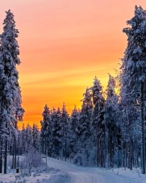 Andy Puddicombe Instagram - Lapland 🥰❄️🥰

Wherever you are in the world, wishing you good health, much love, and every happiness for the year ahead X

#HappyNewYear