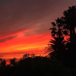 Andy Puddicombe Instagram - I will not keep posting sunsets. I will not keep posting sunsets. I will not keep posting sunsets. Oh look, a sunset! Love you Encinitas! X