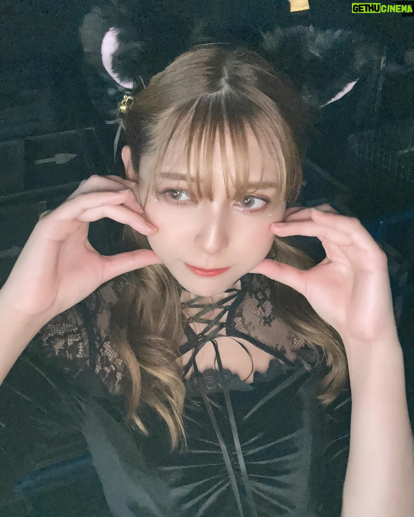 Angela Mei - 9.8K Likes - 関コレありがとうございましたっ
黒猫🐈⬛
楽しかった〜!今回もうちわ見つけれて嬉しい🥺いつもありがとうっ
またすぐ会いに来るからね〜みんなすき
#関コレ #関西コレクション
#sugarnine