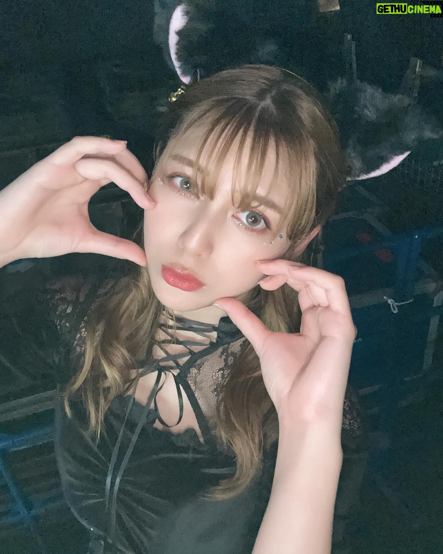 Angela Mei - 9.8K Likes - 関コレありがとうございましたっ
黒猫🐈⬛
楽しかった〜!今回もうちわ見つけれて嬉しい🥺いつもありがとうっ
またすぐ会いに来るからね〜みんなすき
#関コレ #関西コレクション
#sugarnine