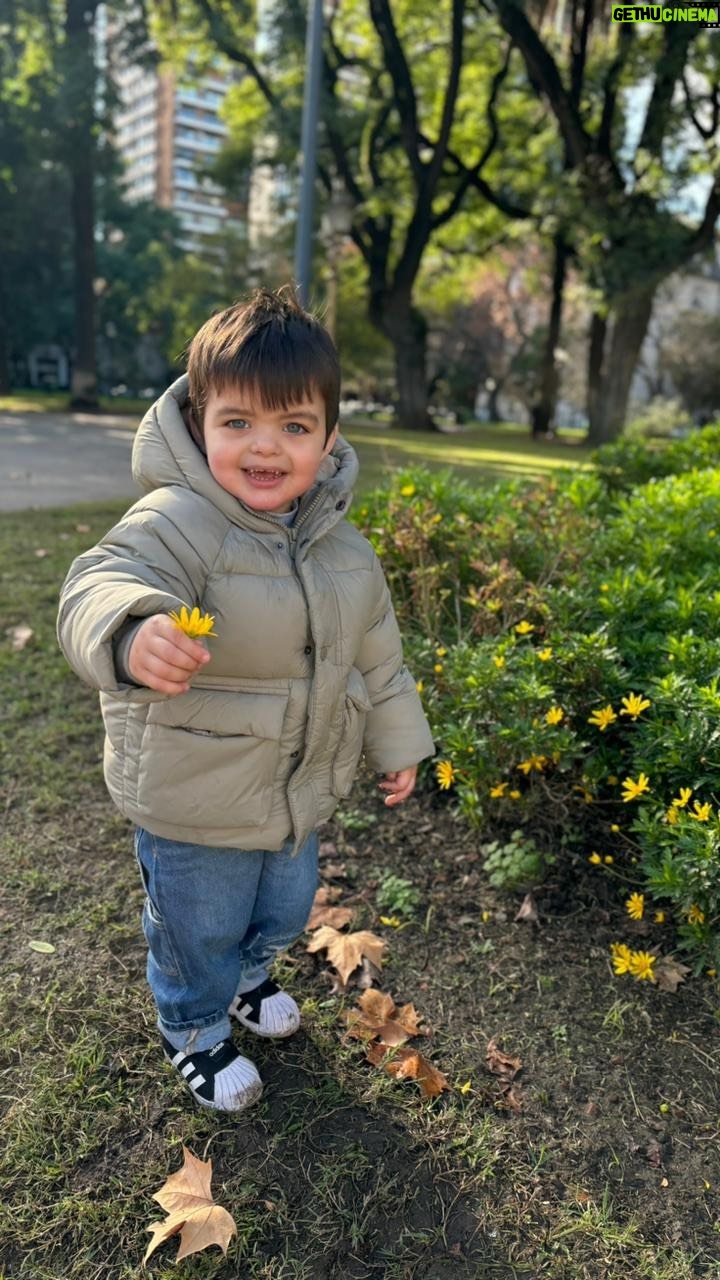 Ángeles Balbiani - 18.8K Likes - Si es feriado se hace un pastel.
