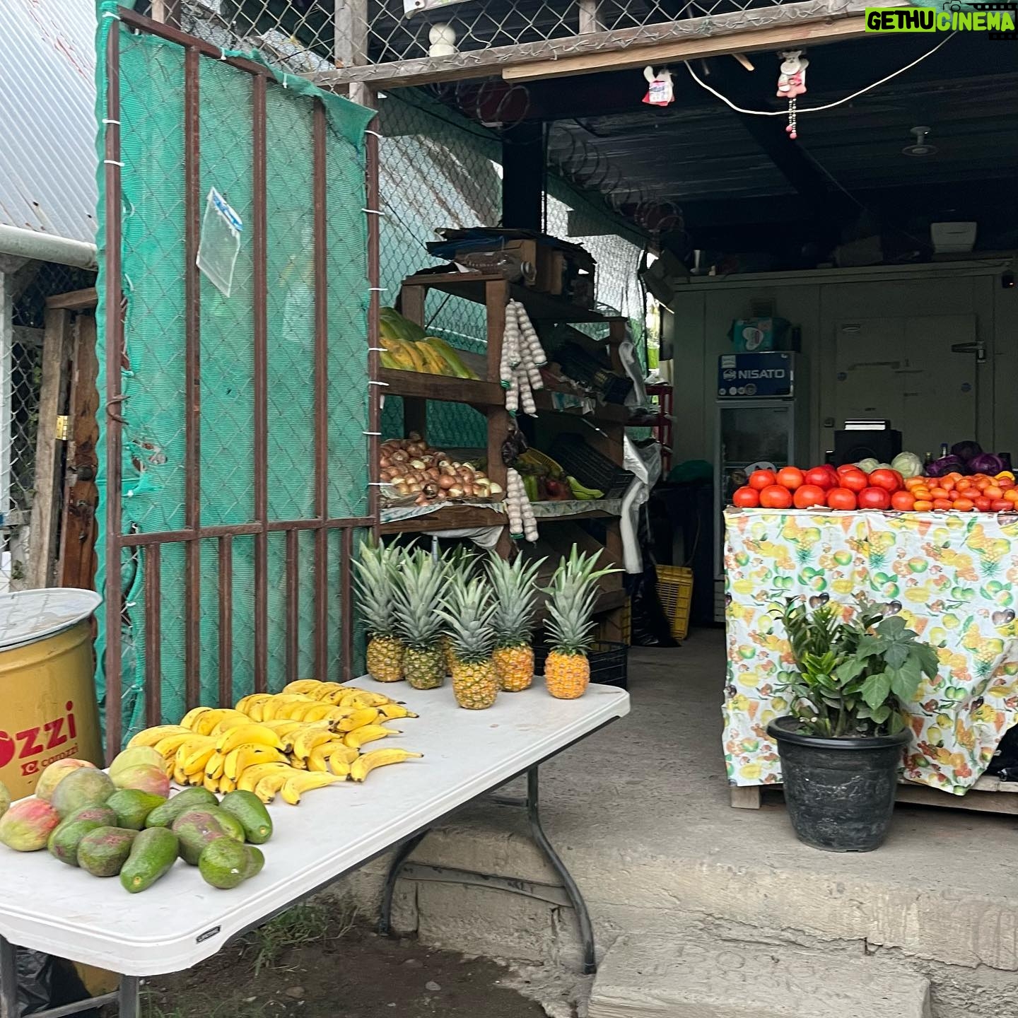 Anna Castillo - 82K Likes - Ya paro con Panamá, unas poquitas fotos de yo, una serpiente 💙 y tienditas 🍎🍍