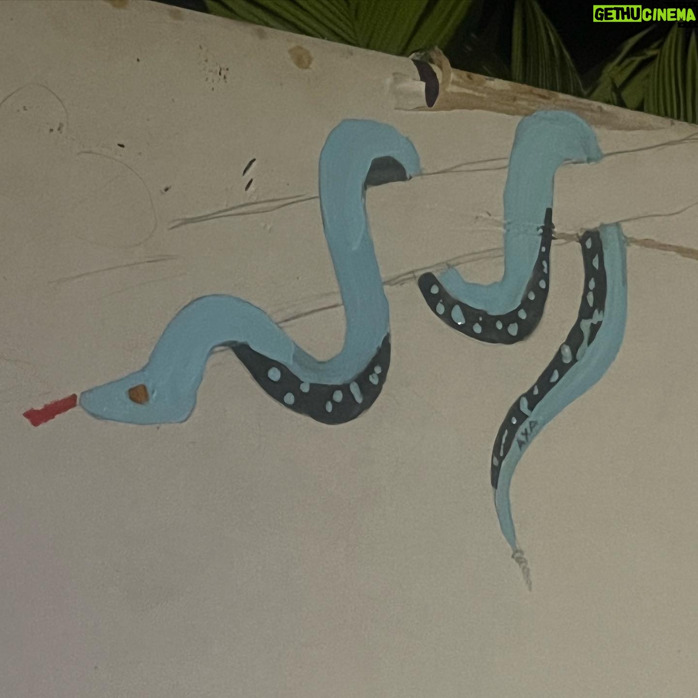 Anna Castillo - 82K Likes - Ya paro con Panamá, unas poquitas fotos de yo, una serpiente 💙 y tienditas 🍎🍍