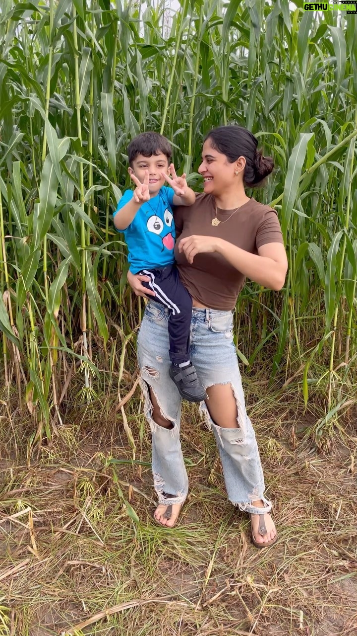 Anshul Chauhan - 19.7K Likes - Bhindi, lauki, tori todne khet mein tractor par gaye the 💁♀️