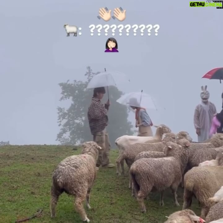 Anson Chan - 2.8K Likes - 繼續努力做出色嘅蛋捲 🍳 #台灣之旅 #BTS #安信DUMP