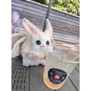 Aoi Yuki Instagram - 来宮神社はお酒飲めるのも最高だった

 #ぬい撮り  #ぬいすたぐらむ  #ぬい活
 #来宮神社