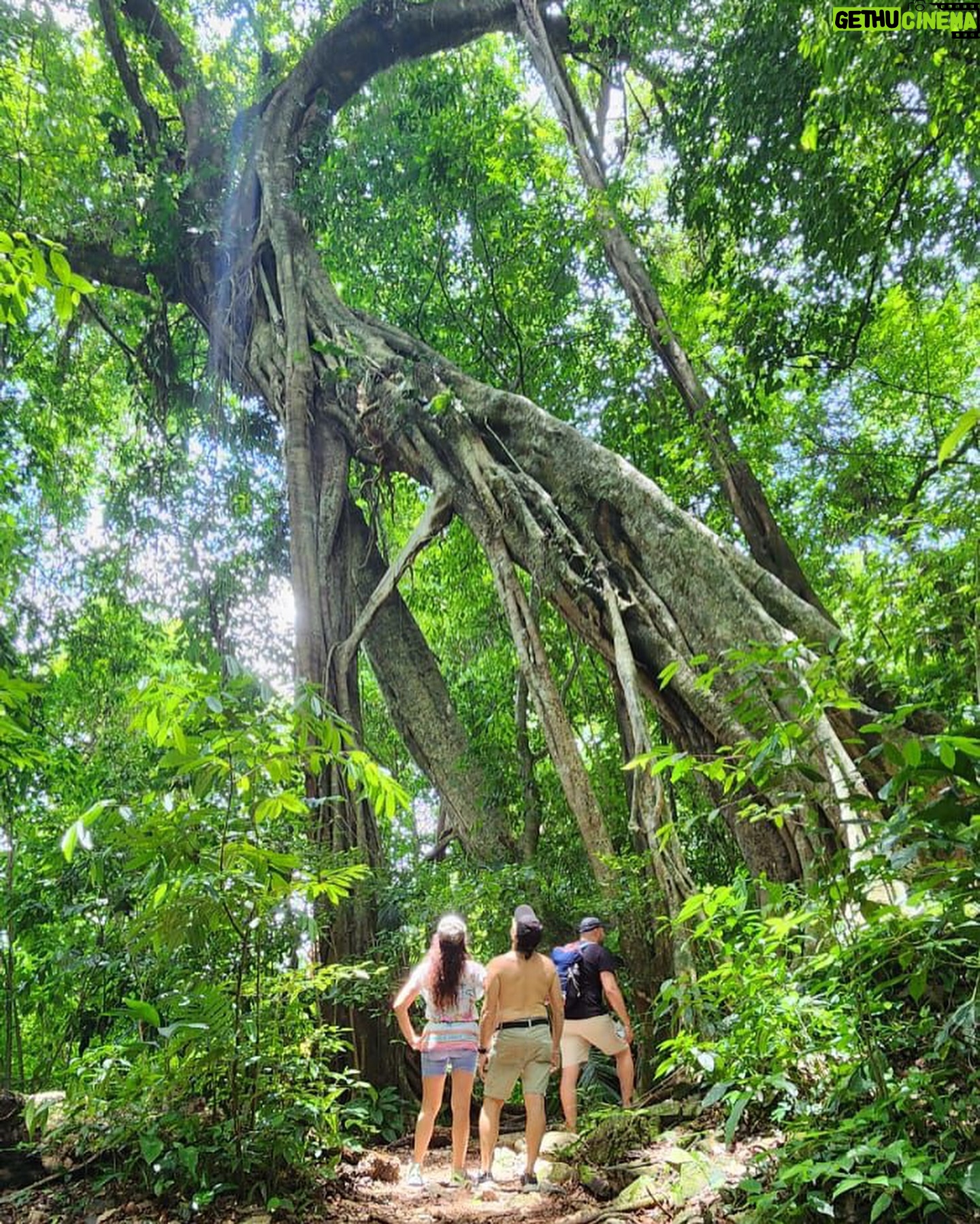 Arleth Terán - 3.9K Likes - Desconectar para conectar 🍃☀️🏝️ Disfrutando cada maravilla de mi México amado 🥰🇲🇽 #CascadasDeRobertoBarrios