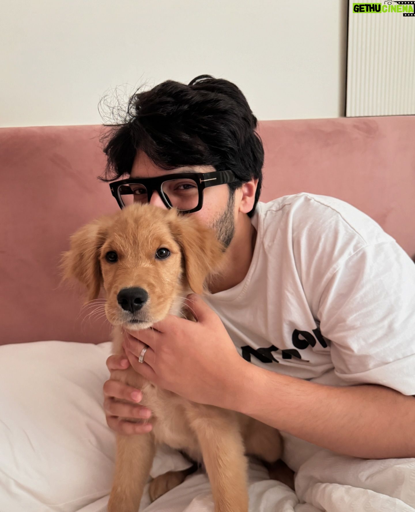 Armaan Malik - 386.8K Likes - 7 years of us being together today and I guess weāre pawrents now š„¹š¾
we knew we wanted to bring home a puppy at some point but werenāt actively looking, yet somehow, thanks to @theanubistigerfoundation and @praachikapse, he made his way to us, and home has been a mad house ever since. meet little Tofu, our baby boy who adopted us the moment we saw him a month ago š„¹š¦ā¤ļø