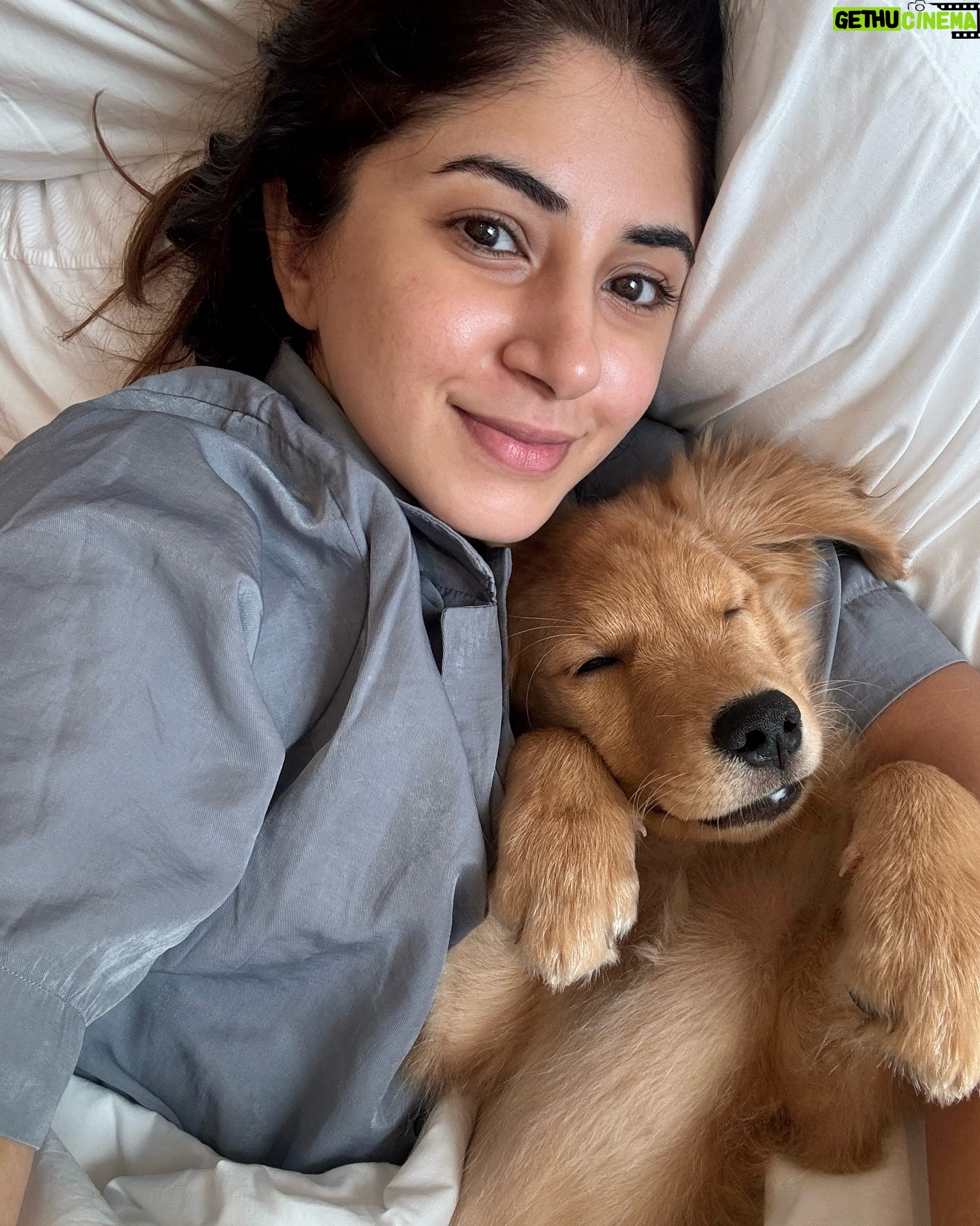 Armaan Malik - 386.8K Likes - 7 years of us being together today and I guess weāre pawrents now š„¹š¾
we knew we wanted to bring home a puppy at some point but werenāt actively looking, yet somehow, thanks to @theanubistigerfoundation and @praachikapse, he made his way to us, and home has been a mad house ever since. meet little Tofu, our baby boy who adopted us the moment we saw him a month ago š„¹š¦ā¤ļø