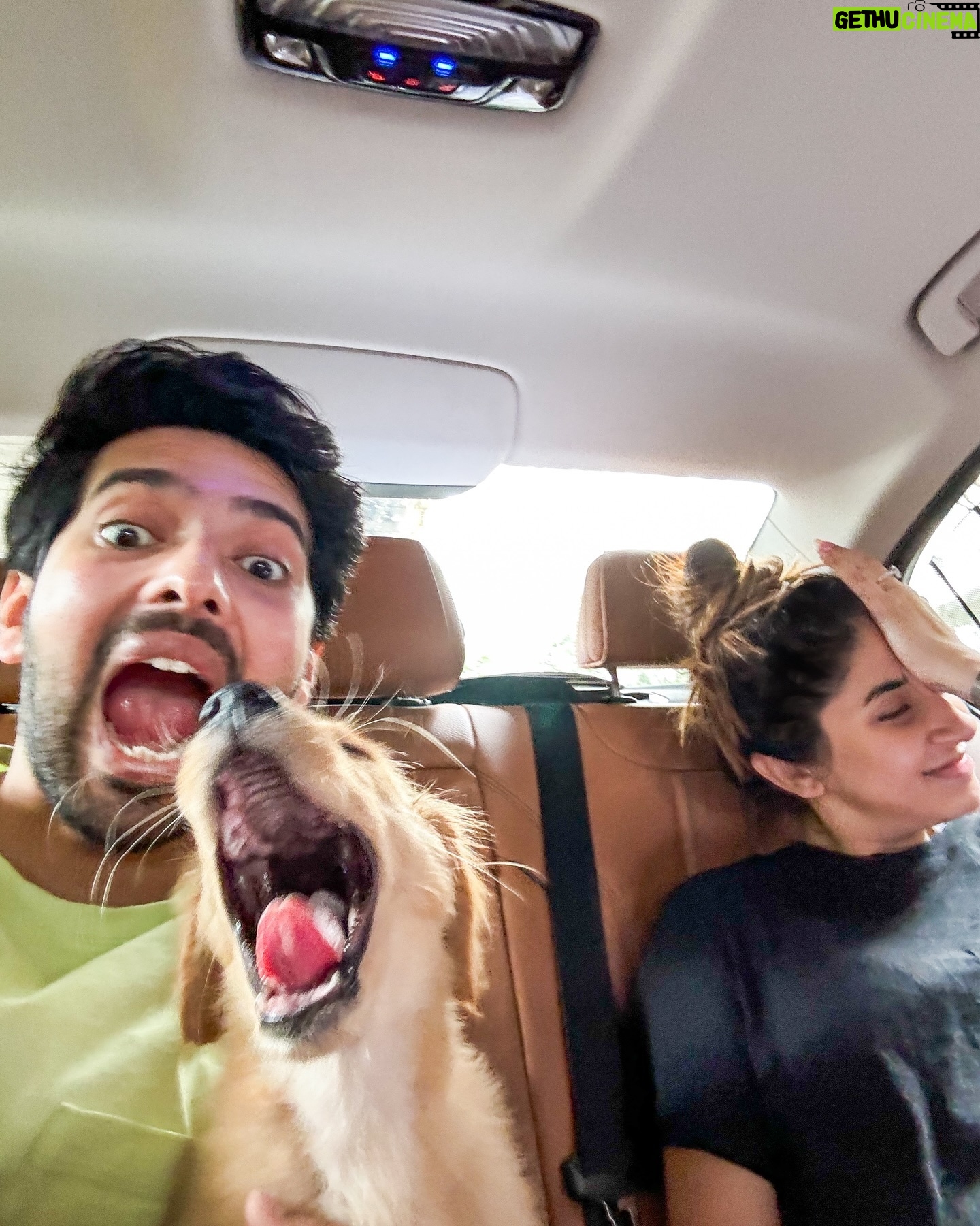 Armaan Malik - 386.8K Likes - 7 years of us being together today and I guess weāre pawrents now š„¹š¾
we knew we wanted to bring home a puppy at some point but werenāt actively looking, yet somehow, thanks to @theanubistigerfoundation and @praachikapse, he made his way to us, and home has been a mad house ever since. meet little Tofu, our baby boy who adopted us the moment we saw him a month ago š„¹š¦ā¤ļø