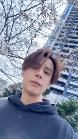 Artit Tangwiboonpanit Instagram - Sakura 🌸😘