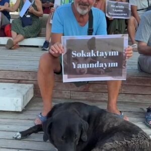 Arzu Gamze Kılınç Instagram - #yasayıgeriçek
Bu insanlar yasa meselesi ortaya çıktığından bu yana her akşam 19.00,da sessizce oturuyorlar, dostları gibi♥️