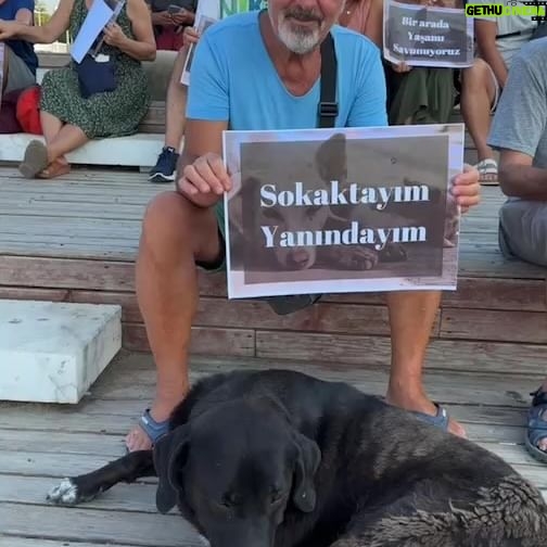 Arzu Gamze Kılınç - 301 Likes - #yasayıgeriçek
Bu insanlar yasa meselesi ortaya çıktığından bu yana her akşam 19.00,da sessizce oturuyorlar, dostları gibi♥️