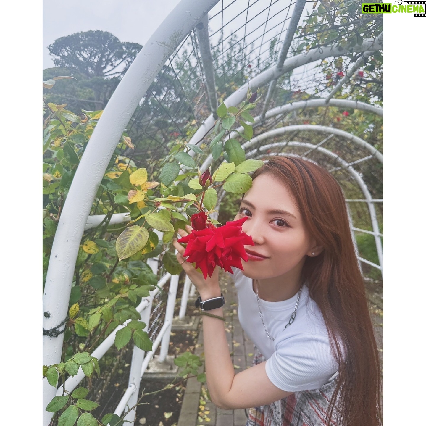 Asami Tano - 4.1K Likes - ⛄️HOKKAIDO.
Again........❄️
#田野アサミ#asamitano
#聖地#saintsnow#lovelivesunshine
ありがとうございます❄️💙が溢れている場所。
ファンの皆さんの熱い想いも沢山感じられました。
〝ねぇ、北海道いかない?〟の麻里奈の一言で始まった弾丸北海道旅✈️北海道って本当に大地がおっきい。なので降り立つ場所に正直迷った。けどねワガママ言って〝函館に行きたい。行きたい場所があるんだ。〟と伝えると即答で行こう!と一緒に巡ってくれた彼女にも感謝🤝❄️
日向との気持ちもこっそり共に🤝連れて行きました。
北海道 函館 最高だね。
本当に大切な場所。ありがとう。これからも♡
Now we can go, we can go Ah もっと信じて
we can fly, we can fly So どんな夢も
we can go, we can go Ah もっと信じて
we can fly, we can fly So きっと叶うYeah!!
2024. 7.X