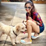 Ashi Singh