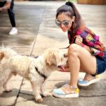 Ashi Singh